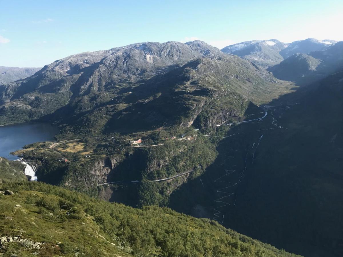 Vatnahalsen Hoyfjellshotell Myrdal Exterior photo