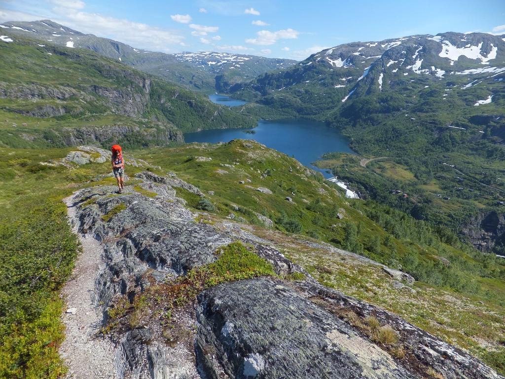 Vatnahalsen Hoyfjellshotell Myrdal Exterior photo