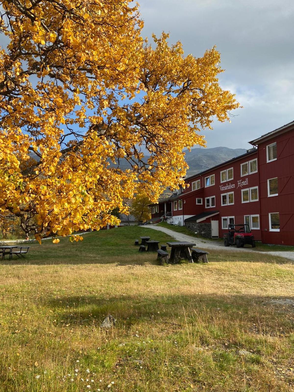 Vatnahalsen Hoyfjellshotell Myrdal Exterior photo